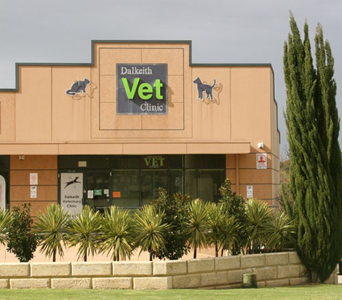 Dalkeith Vet Clinic