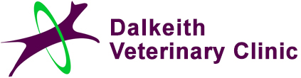 Dalkeith Vets Nedlands WA